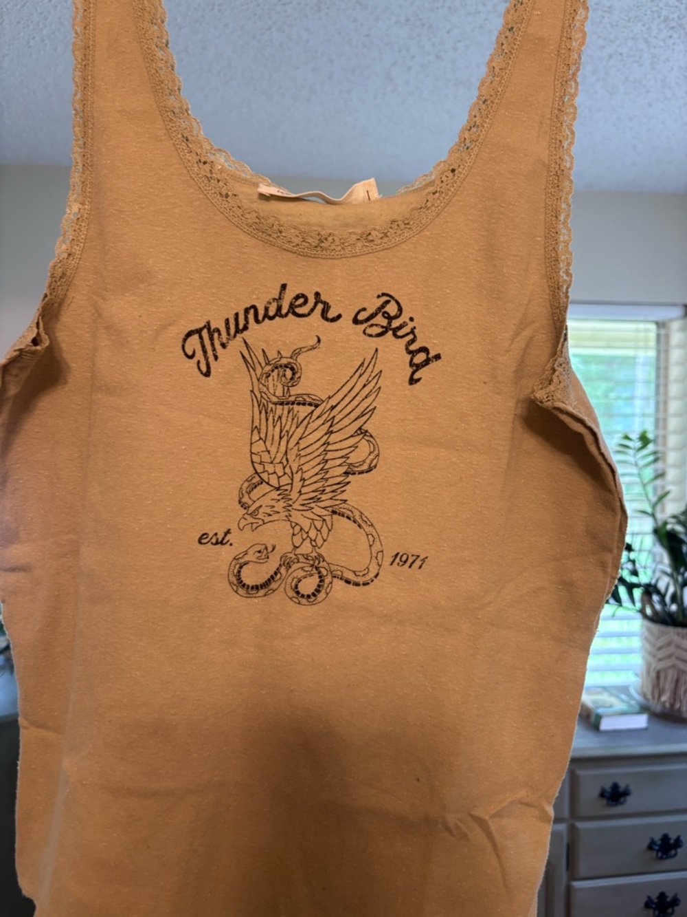 Thunder Bird Graphic Tank Top - Rust FREE PEOPLE